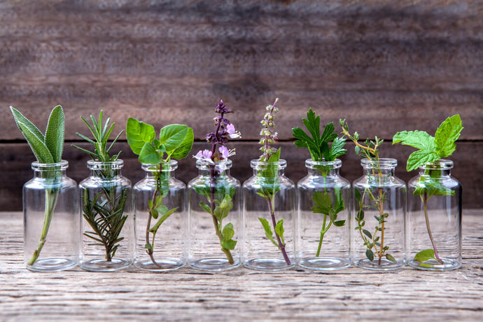 The Different Types of Incense: Which One is Best for You?