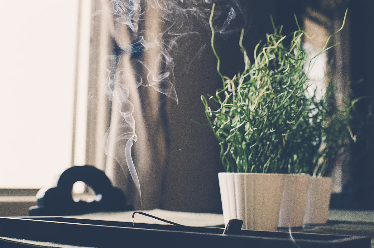 Does Burning Incense Affect Plants? My Incense Waterfalls