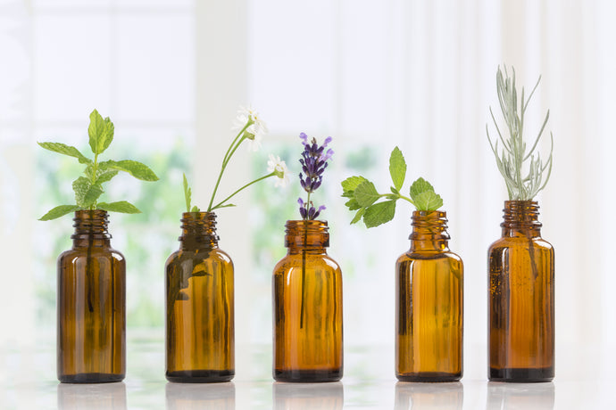 The Best Essential Oils for Immune Support: How Aromatherapy Can Boost Your Health
