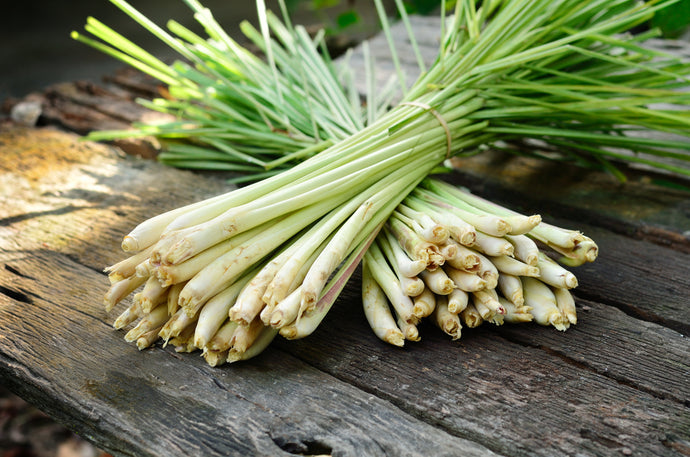 12 Benefits of Lemongrass Incense