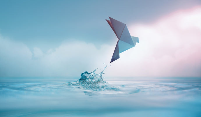 The Role of Mindfulness in Stress Management